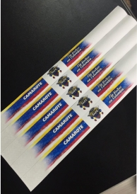 PULSEIRA IMPRESSÃO A LASER